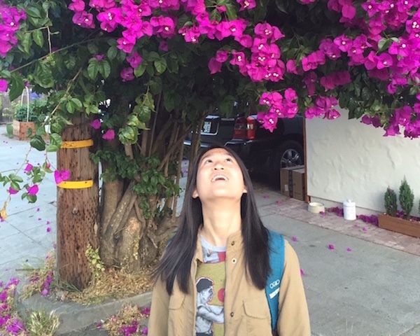 I stare up at a tree