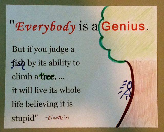 Everybody is a genius. But if you judge a fish by its ability to climb a tree, it will live its whole life believing that it is stupid. –Albert Einstein