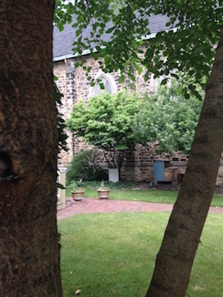 Tree Opening
